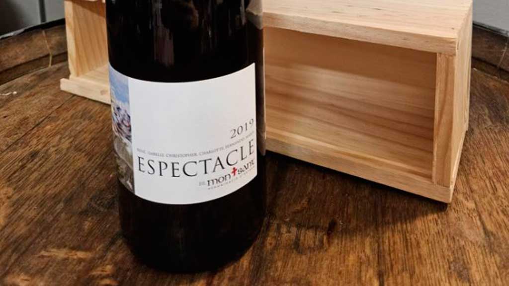 El Espectacle Montsant 2019 un vino tinto formidable